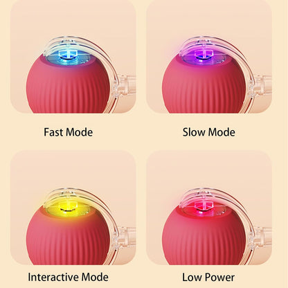 Interactive Smart Rolling Pet Ball